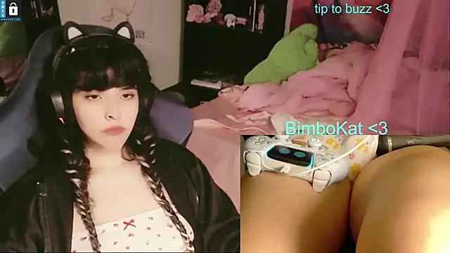 BimboCat: вебкам-шоу
