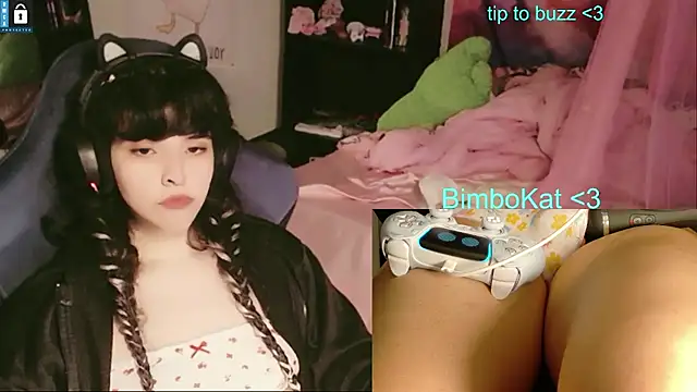 BimboCat's Webcam Show