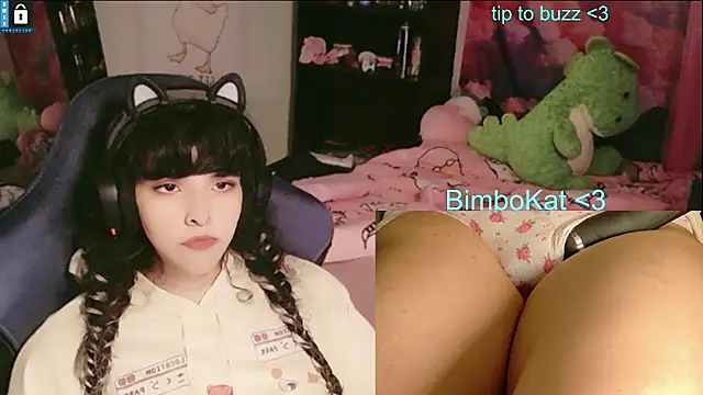 BimboCat: διαδικτυακό σόου στην κάμερα