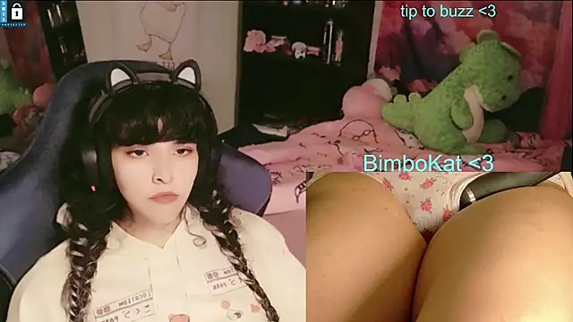 Show Webcam de BimboCat