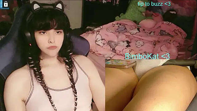 Show webcam de BimboCat