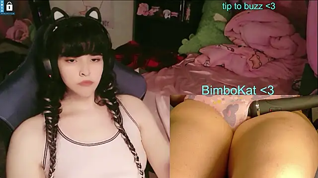 BimboCat 웹캠 쇼