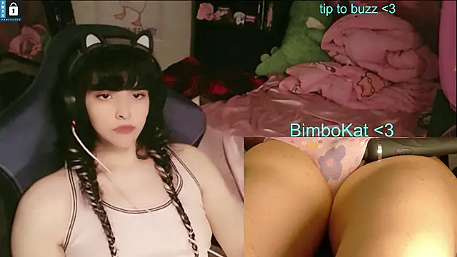BimboCat webkamerás műsora