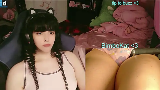 Show webcam de BimboCat