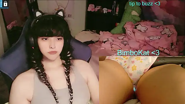 הופעת וובקאם של BimboCat