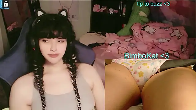 BimboCatのウェブカメラショー