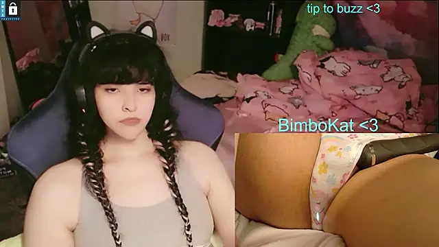 Show webcam de BimboCat