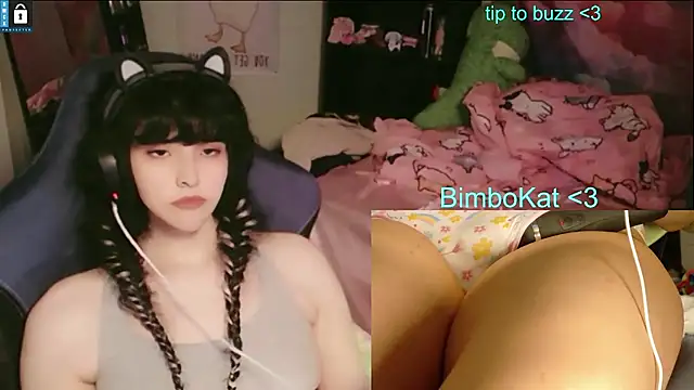 BimboCat: διαδικτυακό σόου στην κάμερα