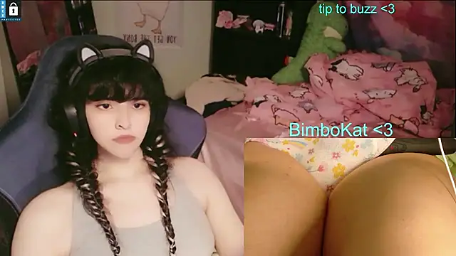 BimboCat: вебкам-шоу