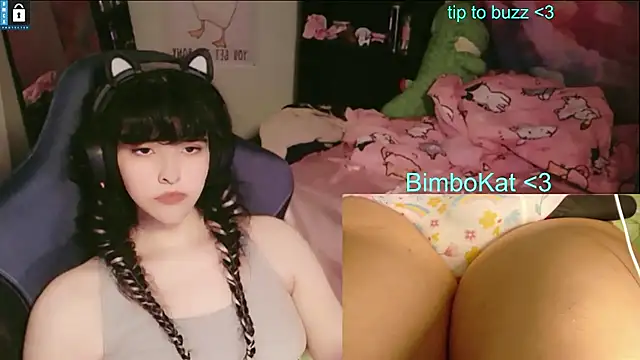 Show webcam de BimboCat