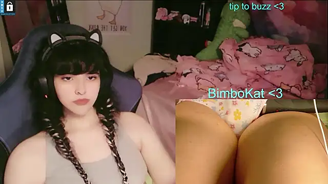 BimboCat: вебкам-шоу