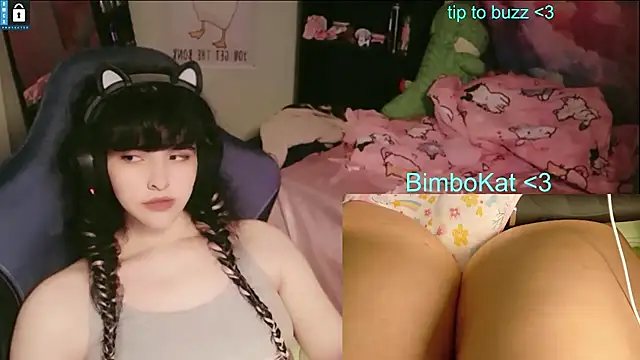 BimboCat ওয়েবক্যাম শো