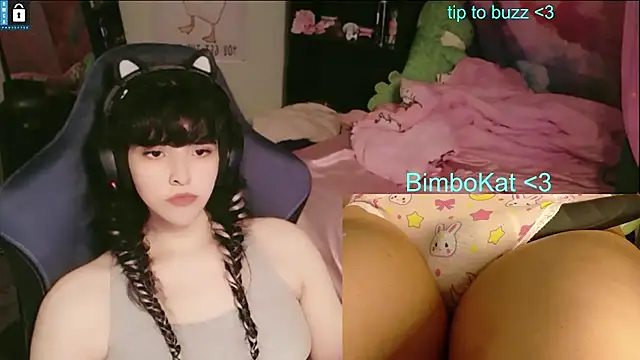 BimboCat Show Webcam