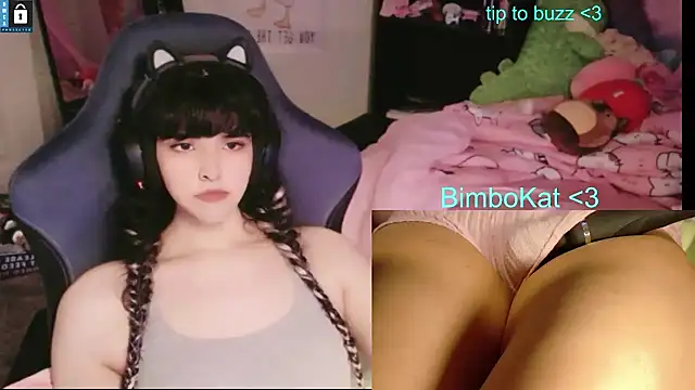 BimboCatのウェブカメラショー