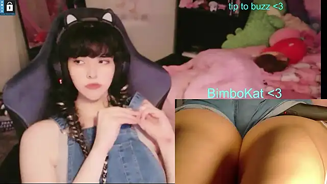 Show webcam de BimboCat