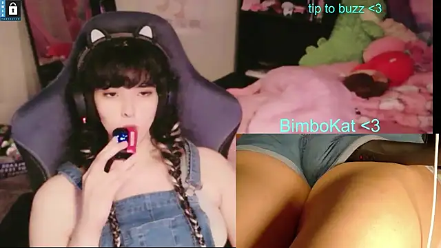 Show Webcam de BimboCat