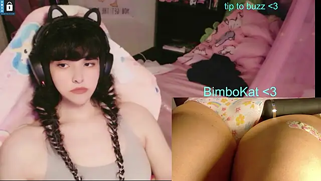 Show webcam de BimboCat