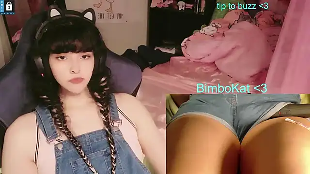 BimboCat Show Webcam