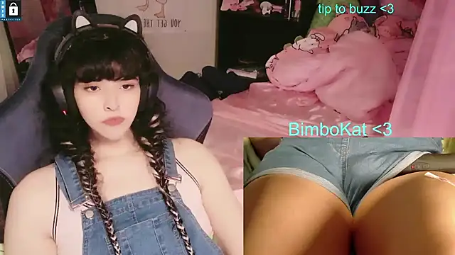 הופעת וובקאם של BimboCat