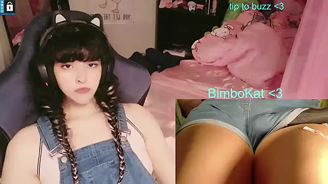 Show de webcam de BimboCat