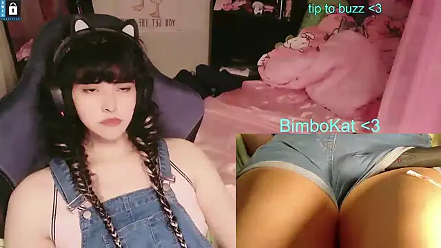 BimboCat: вебкам-шоу