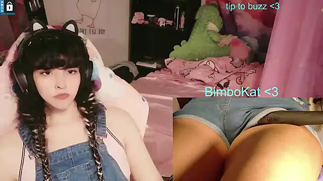 Show Webcam de BimboCat