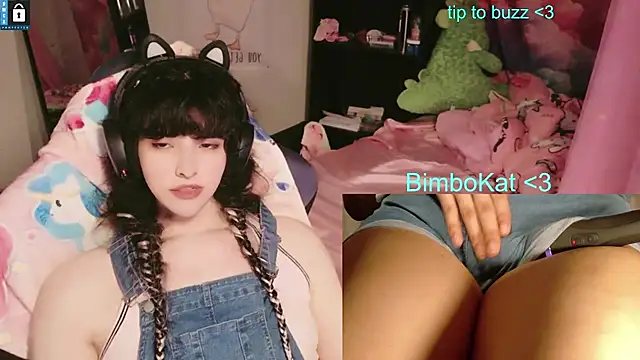 Show de webcam de BimboCat