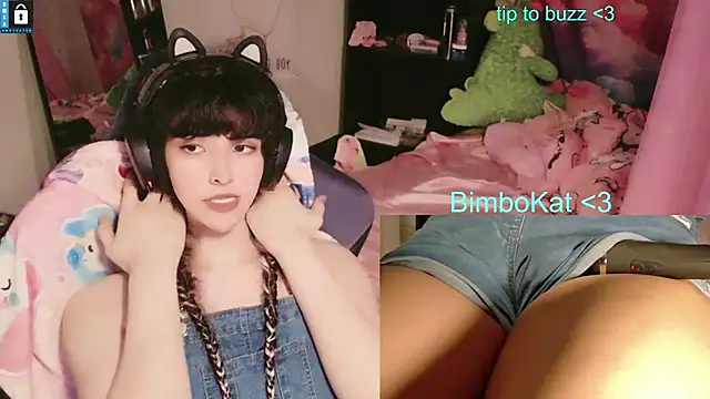 BimboCat: διαδικτυακό σόου στην κάμερα