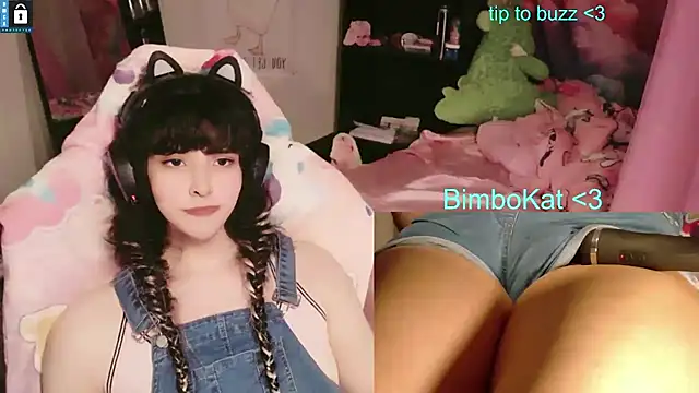 BimboCat: διαδικτυακό σόου στην κάμερα