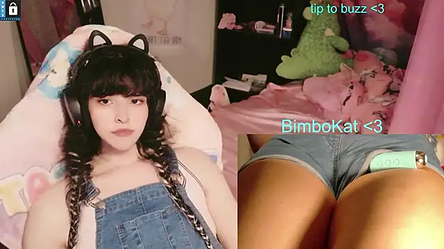 BimboCat Show in webcam