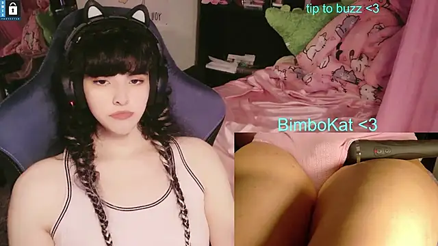 Show webcam de BimboCat