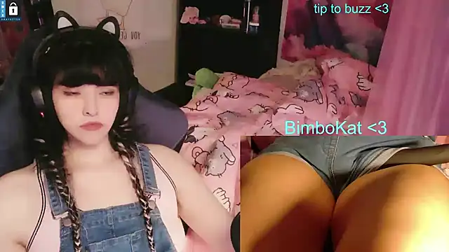 הופעת וובקאם של BimboCat