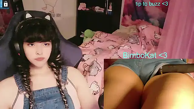 BimboCat – Kamerová šou