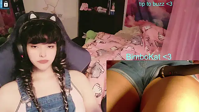 BimboCat Show in webcam