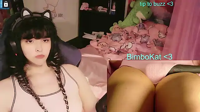 Show Webcam de BimboCat