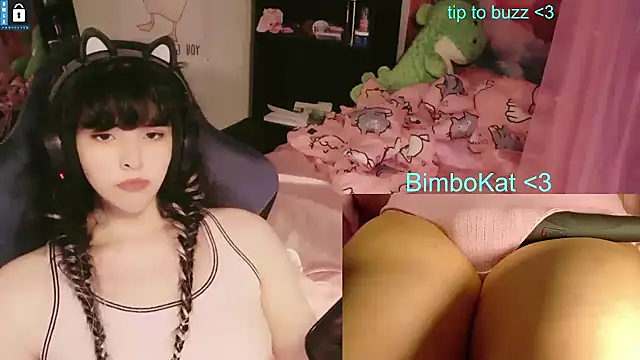 BimboCat Show in webcam