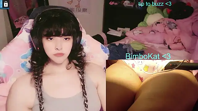 BimboCat: διαδικτυακό σόου στην κάμερα