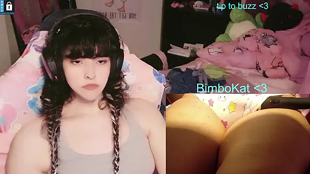 הופעת וובקאם של BimboCat