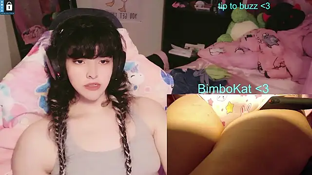 Show Webcam de BimboCat