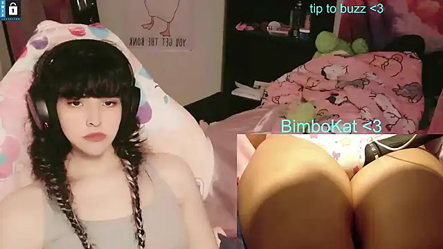 BimboCat 웹캠 쇼