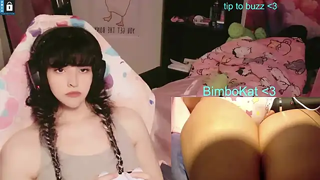 Pokazy przed kamerką – BimboCat