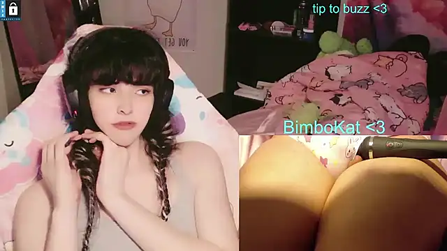 BimboCat ওয়েবক্যাম শো