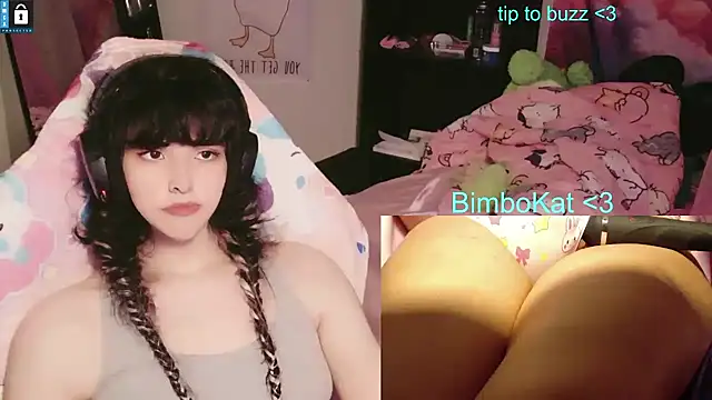 BimboCat 웹캠 쇼