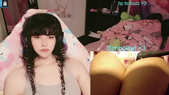 BimboCat Pertunjukan Webcam