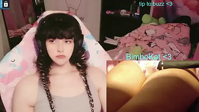 Show webcam de BimboCat