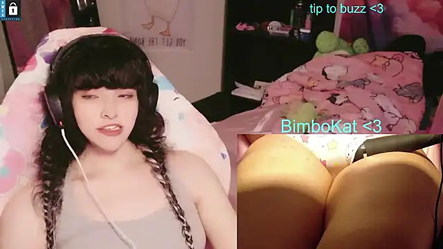 BimboCatのウェブカメラショー