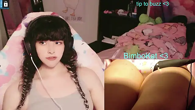 Show Webcam de BimboCat
