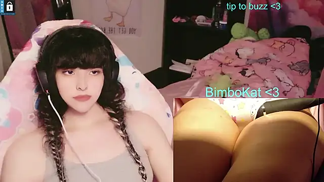 Show webcam de BimboCat