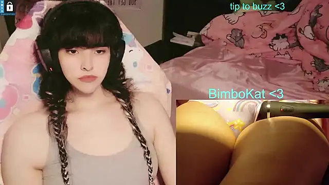 BimboCat webkamerás műsora