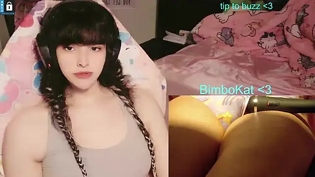 Show Webcam de BimboCat